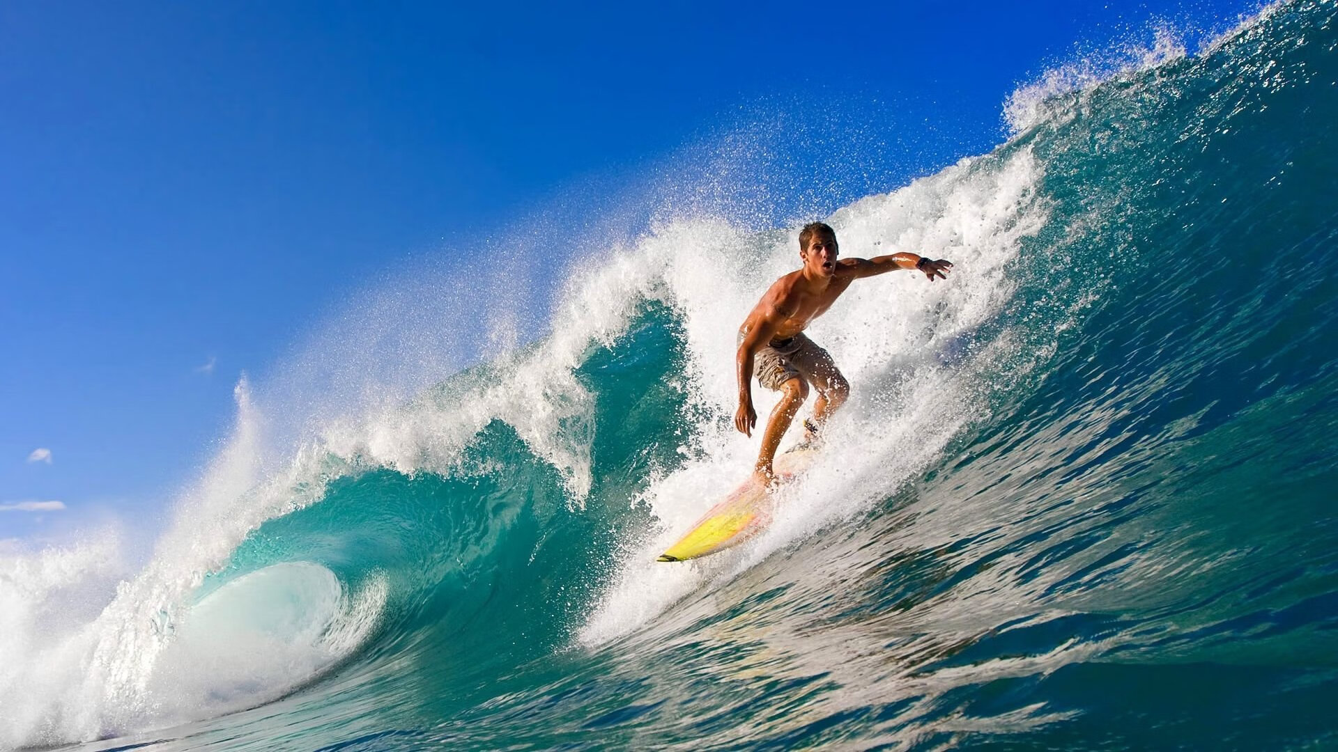 开云网址-瑞士马术协会与美洲马术协会合作，举办国际马术交流活动，促进文化互鉴。